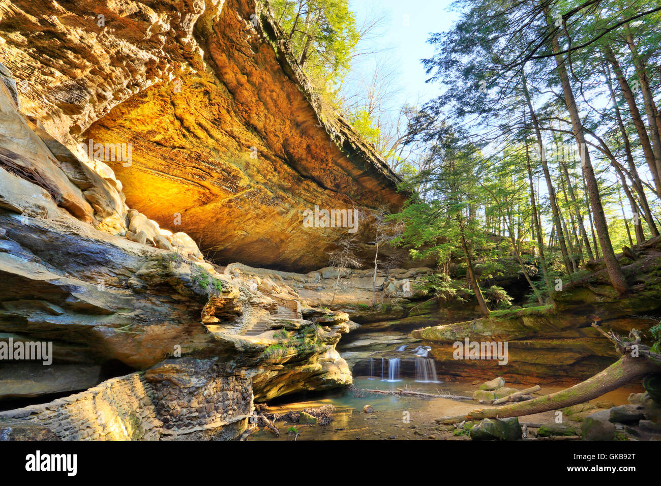 Höhle, Old Mans Höhle, Hocking Hills State Park, Logan, Ohio, USA Stockfoto