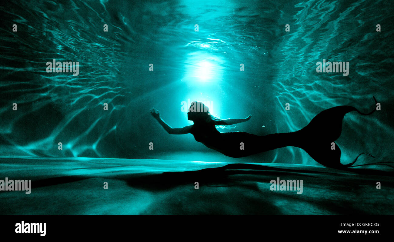 Silouette einer Meerjungfrau in einem Pool in der Nacht, Virginia Beach, Virginia Stockfoto