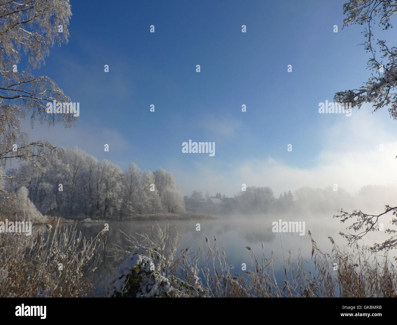 Winter-Nebel-Eis Stockfoto