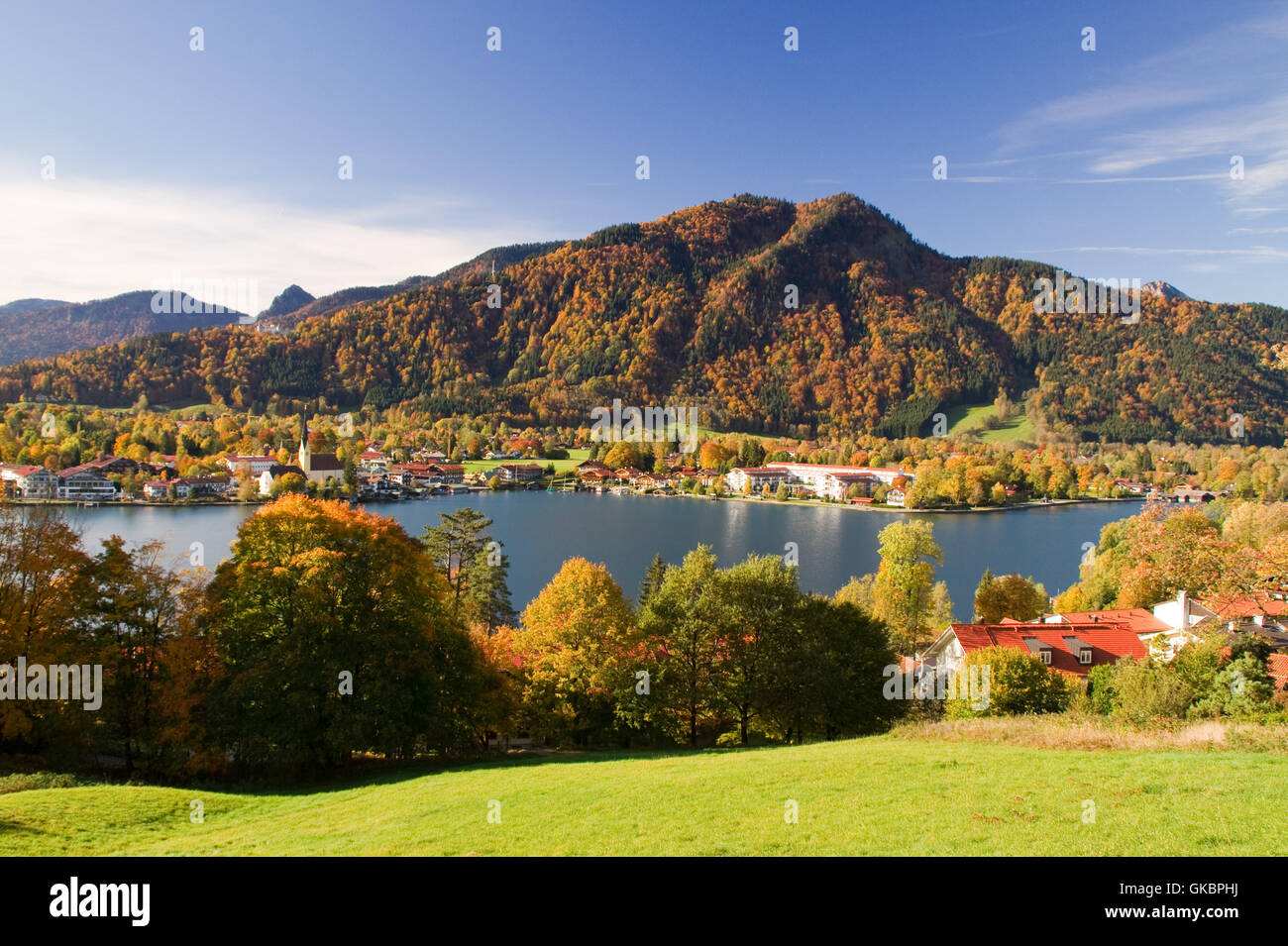 Altweibersommer, Tegernsee See, Bäume, Baum, Wald, Herbst, gelb, gold orang Stockfoto