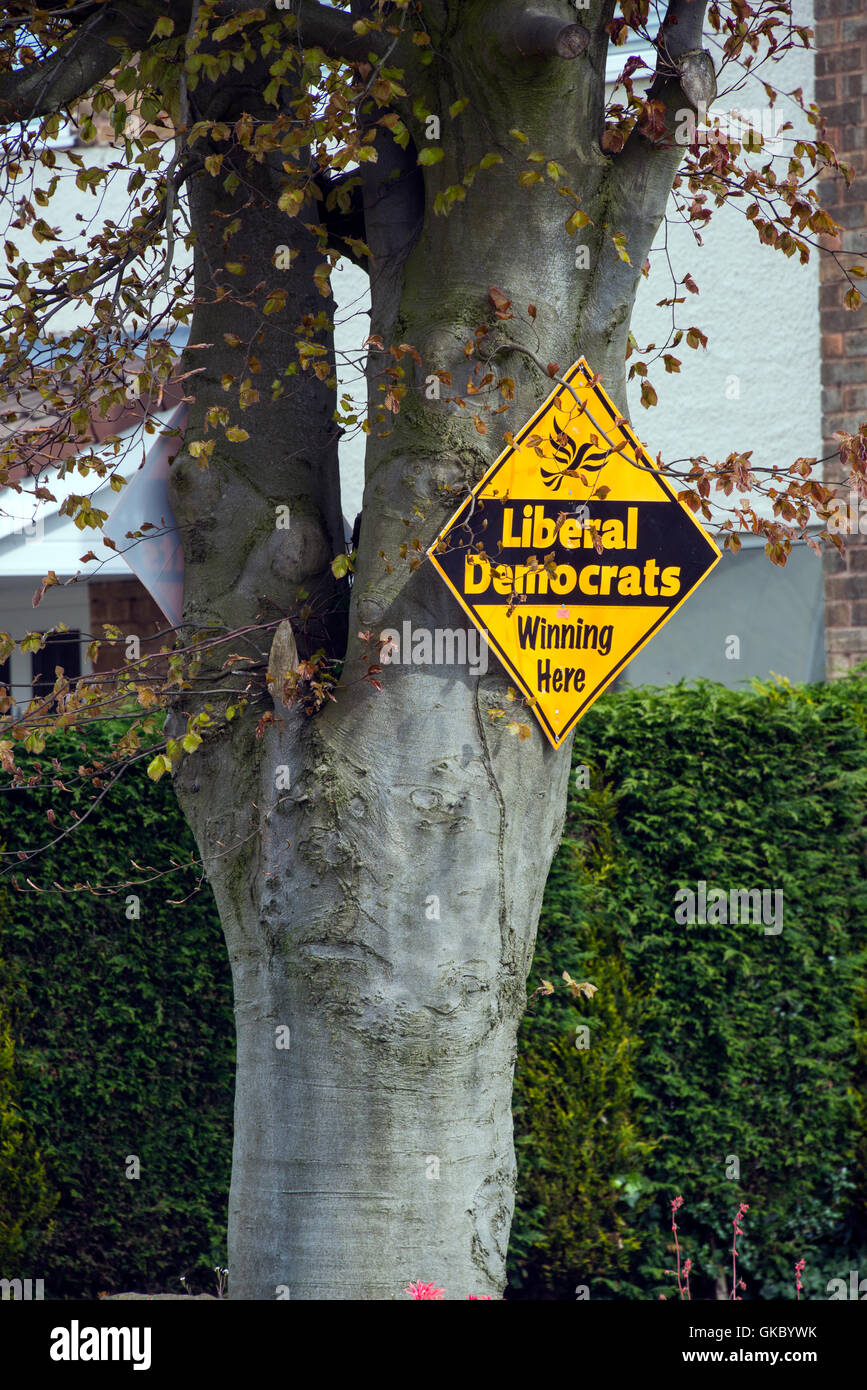 Wahl-Kampagne Zeichen an Baumstamm befestigt Stockfoto
