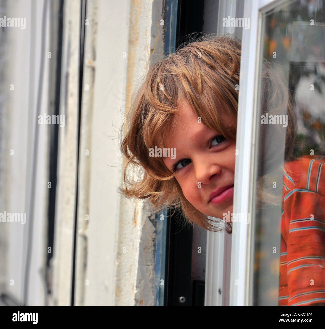 Shaggy junge Blick aus Fenster Stockfoto