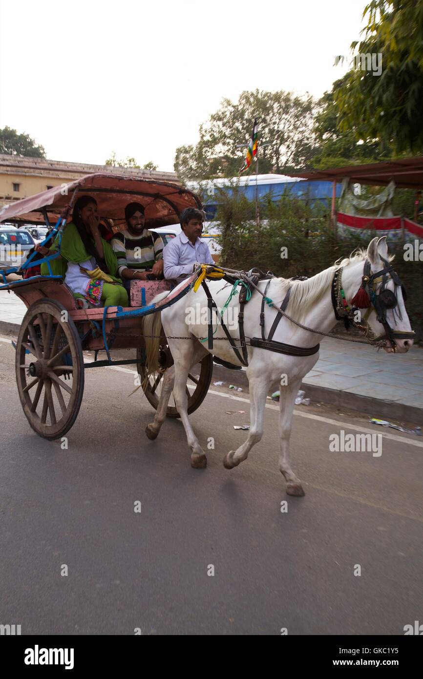 Straßenszene mit Pferd und Wagen, Jaipur, Rajasthan, Indien, Asien Stockfoto