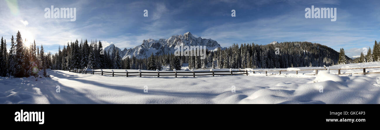 Baum Bäume verschneiten Stockfoto