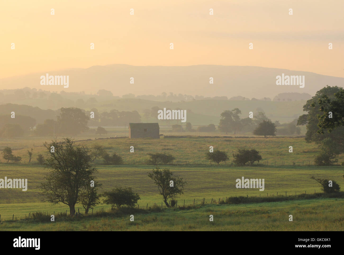 Eine verlassenes Feld Scheune im Aire Valley in der Nähe von Gargrave in North Yorkshire wird von den ersten Strahlen der Sonne gebadet. England-UK Stockfoto