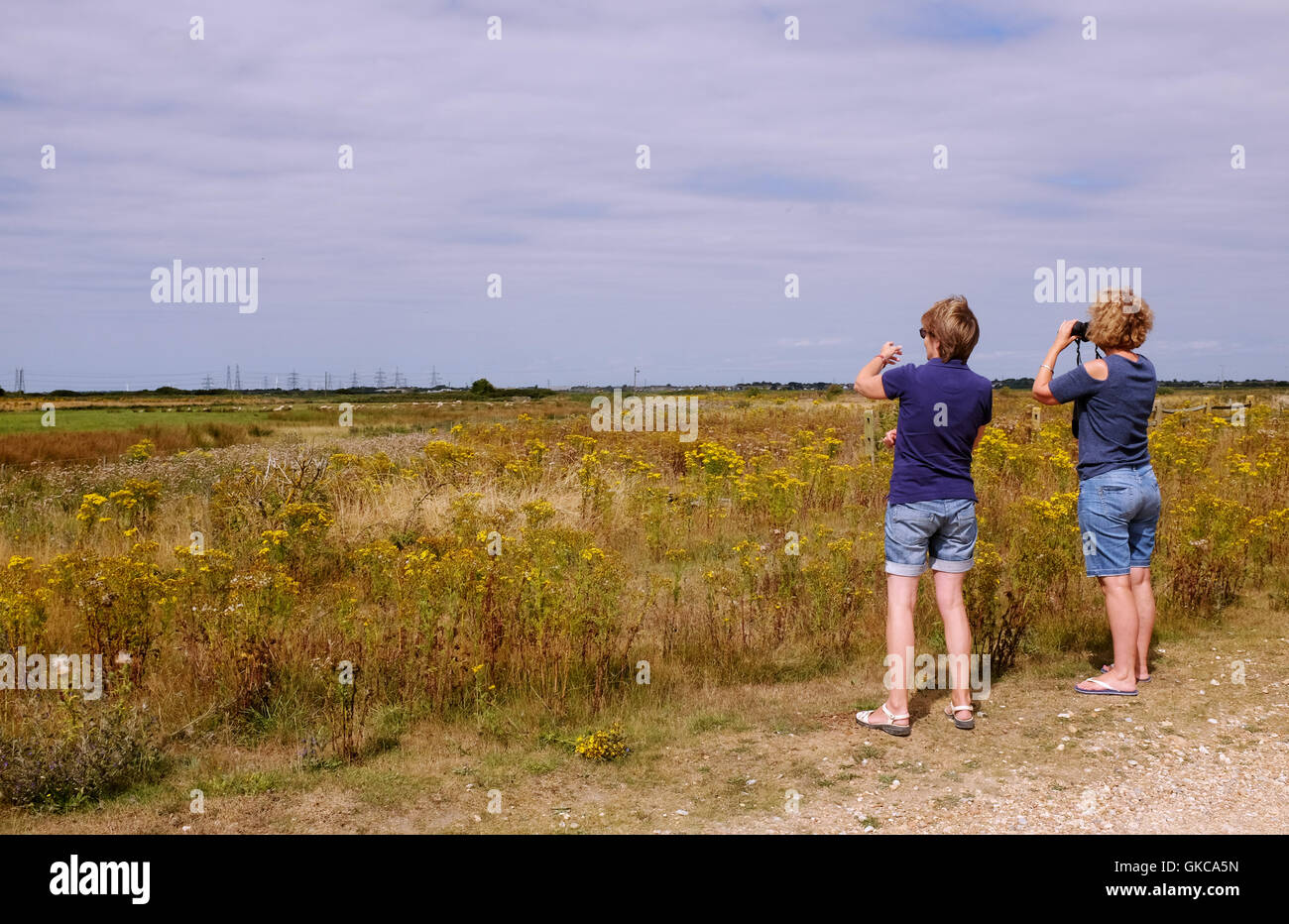 Blick über Dungeness Kent UK - Frauen-Vogelbeobachtung an der RSPB Nature Reserve Stockfoto