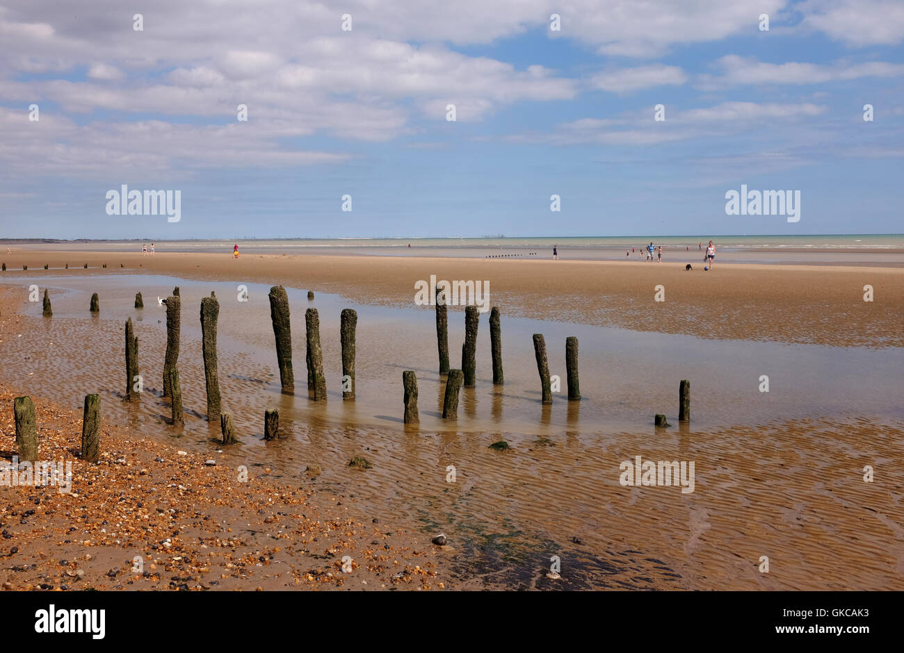 Winchelsea Strand in der Nähe von Roggen und Hastings East Sussex UK mit alten Küstenschutzes Stockfoto