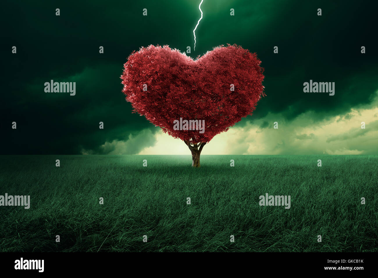 Baum Blitzen Wetterleuchten Stockfoto