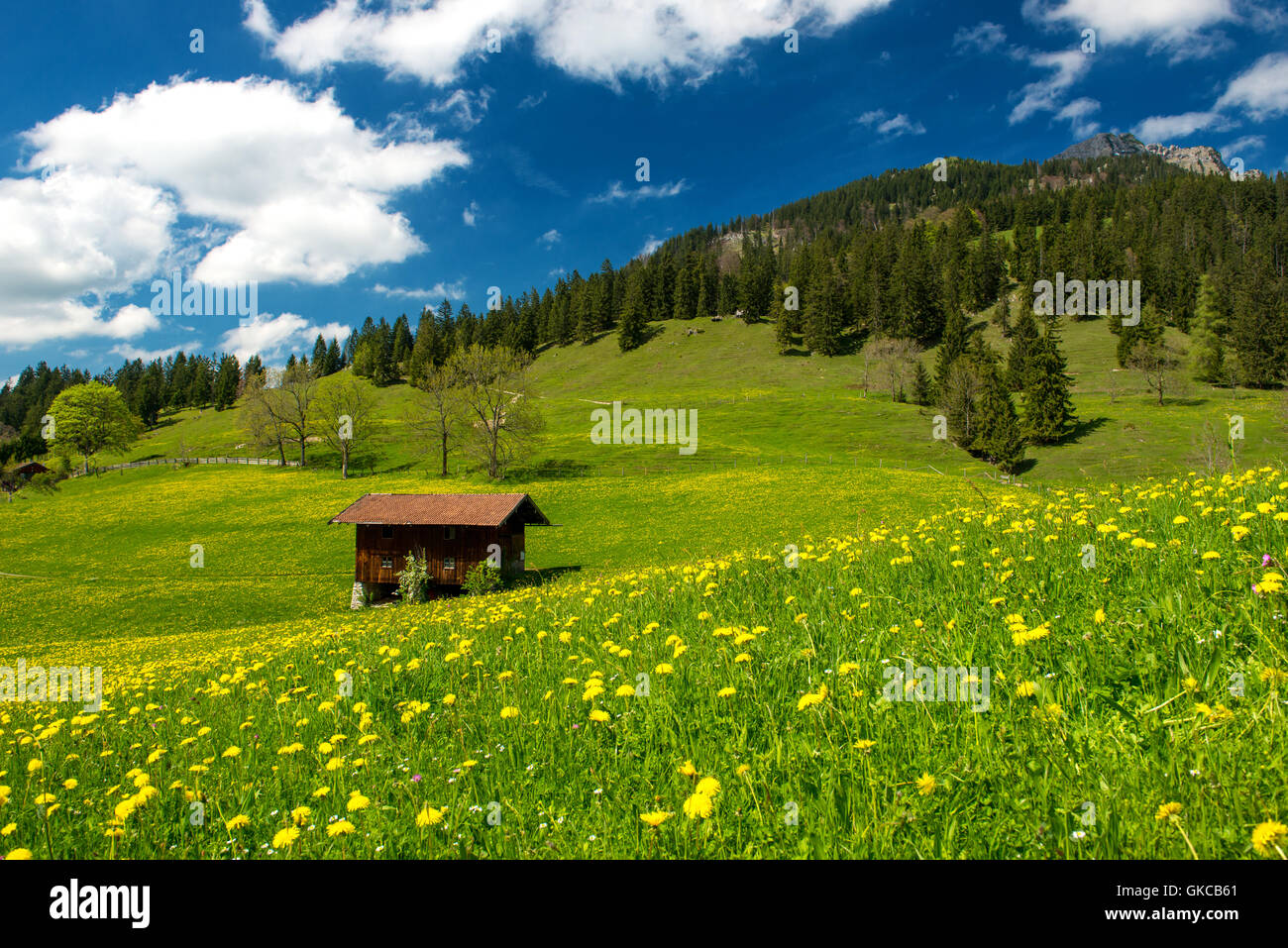 Alm in den Bayerischen Alpen Stockfoto