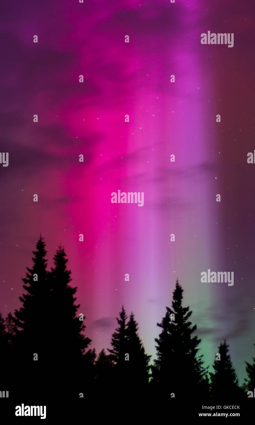 Drei Säulen der hellen Licht Spick in einen blutroten Himmel aus einem Aurora nur am Horizont. Stockfoto