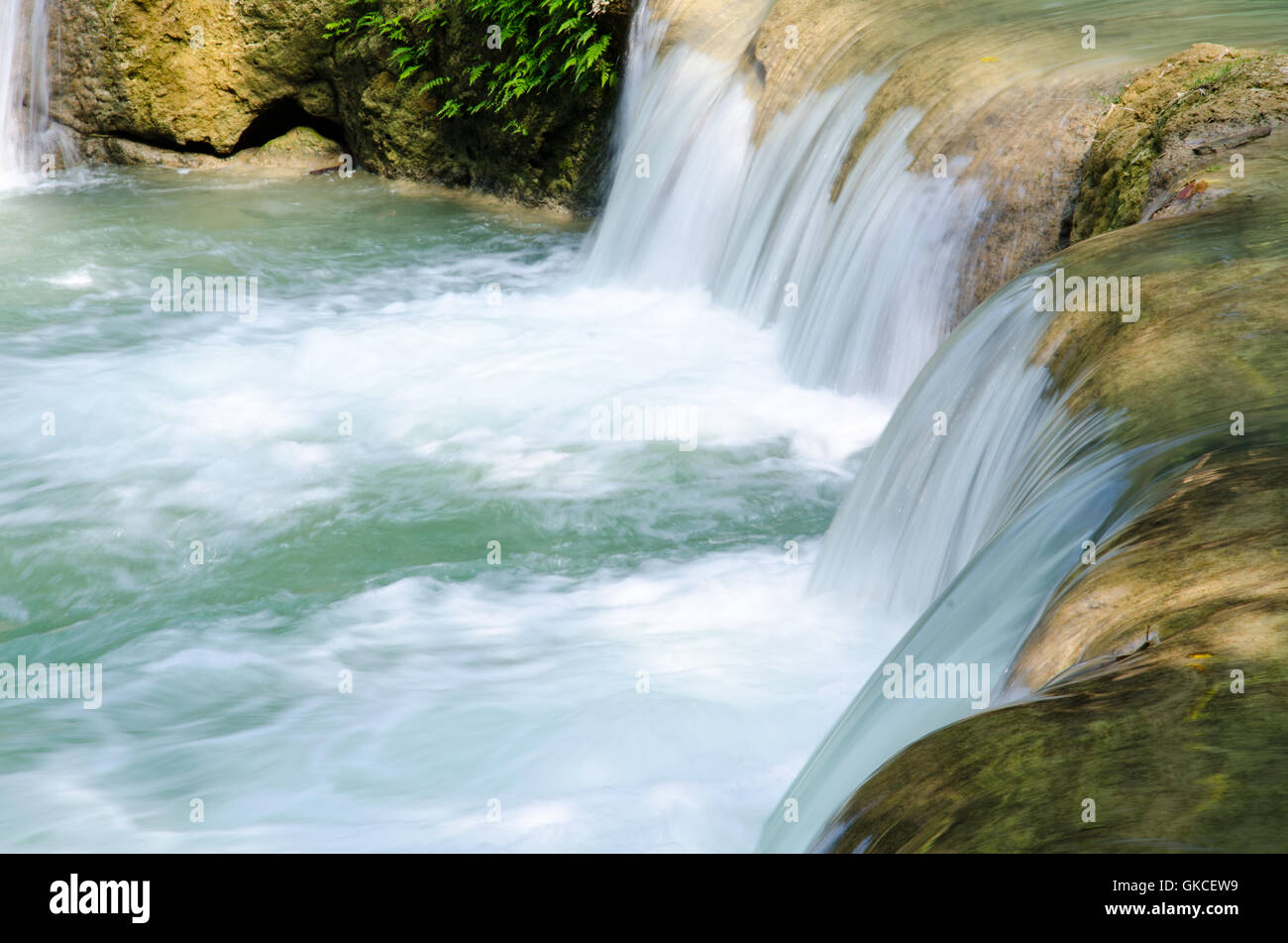 Wasserfall im Wald Stockfoto