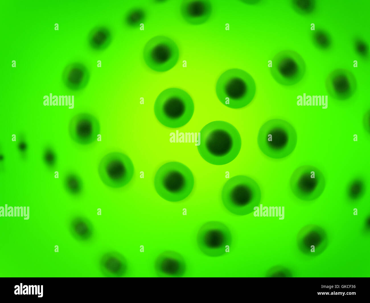 Spinnen-Zellen Stockfoto