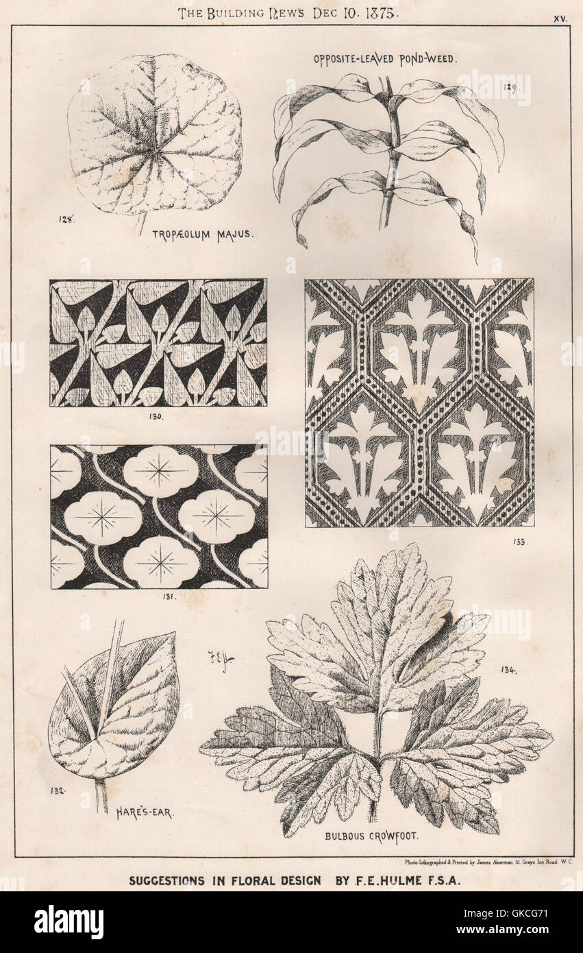 Vorschläge in Floral; Design von Z.B. Hulme FSA. Dekorative (13), 1875 Stockfoto