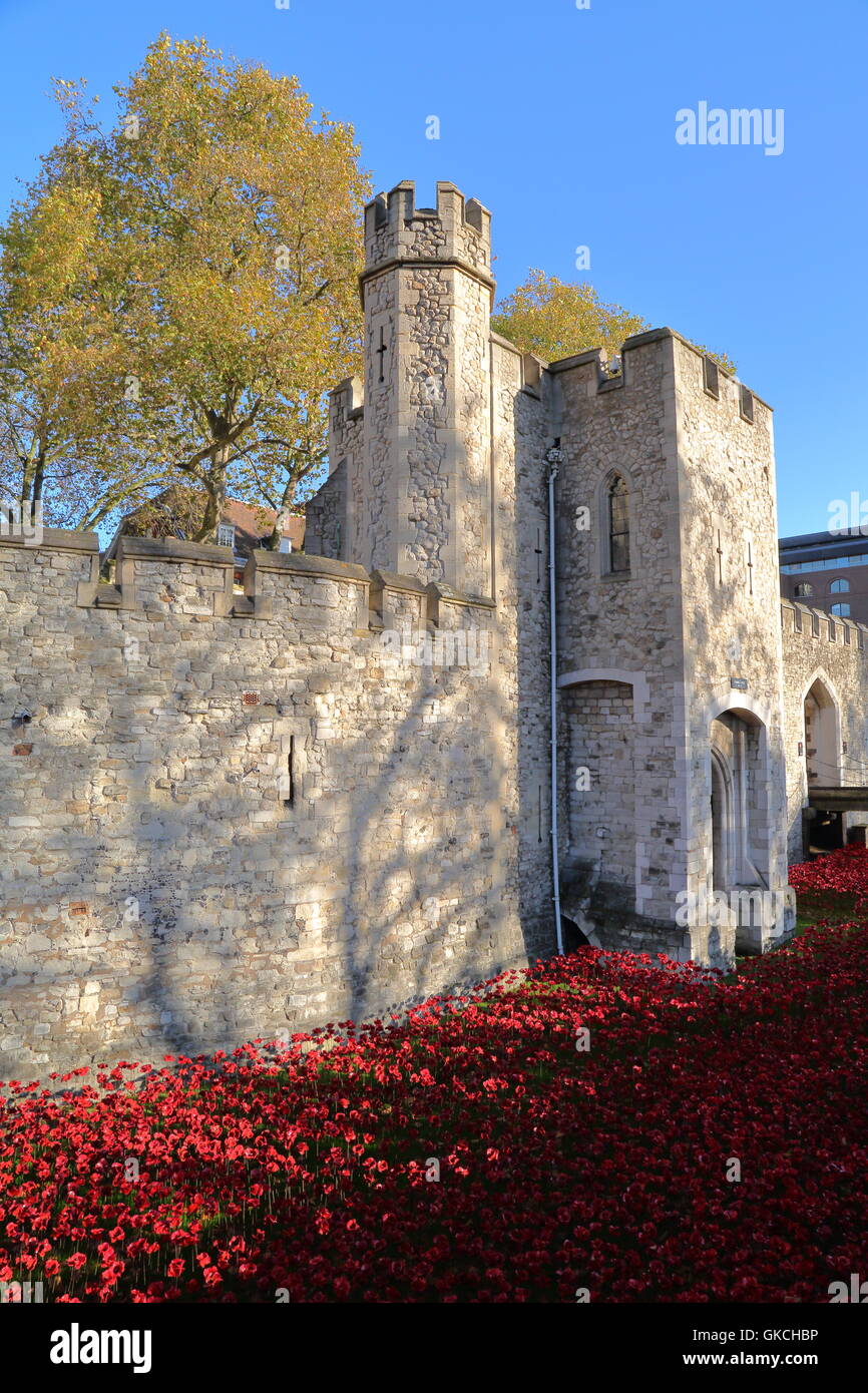 Der Tower of London mit Mohnblumen, London, Großbritannien Stockfoto