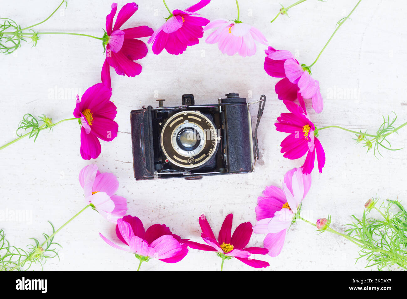 Alte Kamera und Blumen Stockfoto
