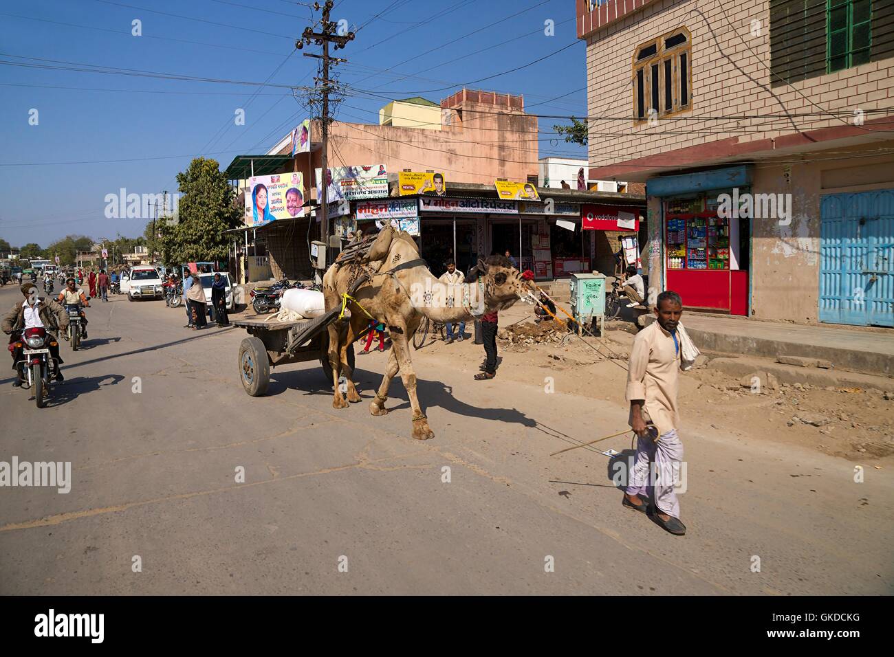 Camel Warenkorb, in der Nähe von Ranthambore Nationalpark, Rajasthan, Indien, Asien Stockfoto