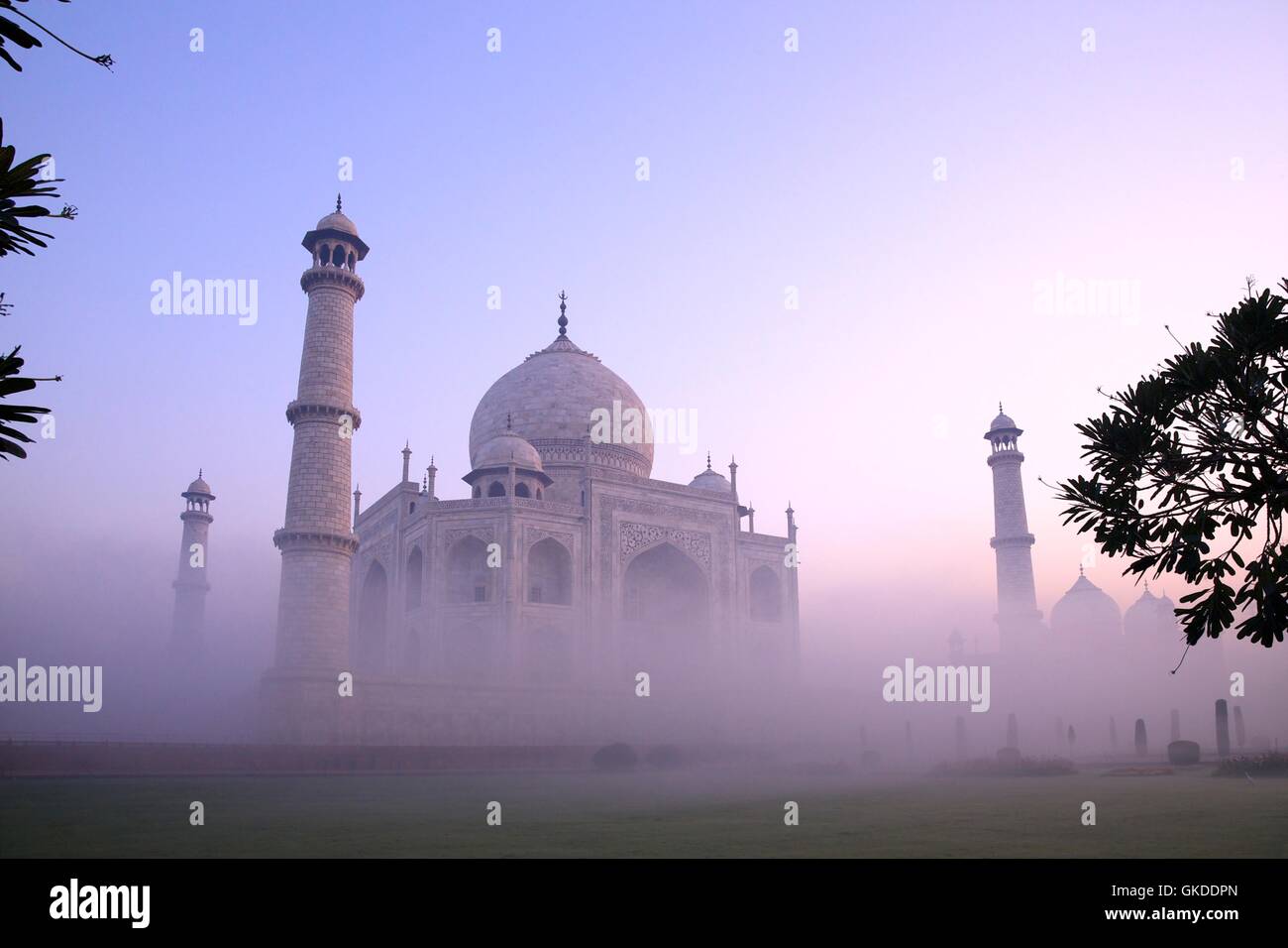 Taj Mahal in der Morgendämmerung, UNESCO-Weltkulturerbe, Agra, Uttar Pradesh, Indien, Asien Stockfoto