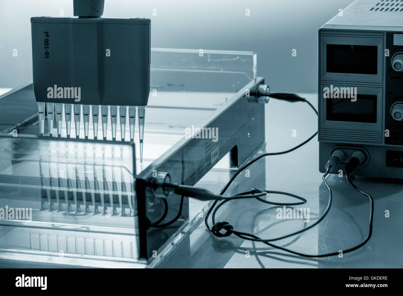 DNA-Probe in Elektrophorese-Gerät zu laden Stockfoto