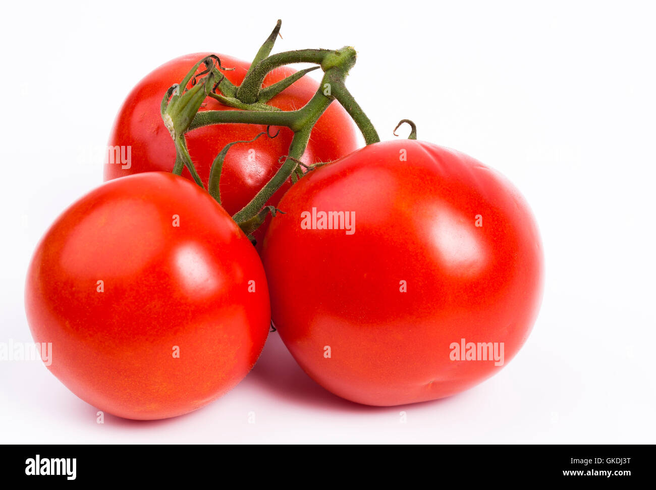 Tomaten Stockfoto