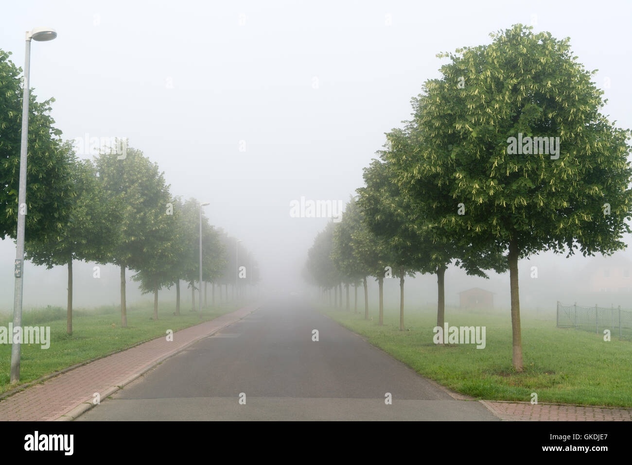 Park im Morgennebel Stockfoto