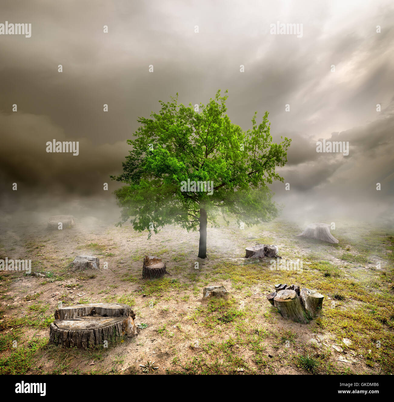 Gefahr-single-Leben Stockfoto