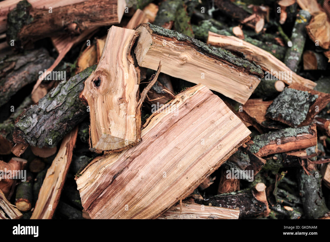 Brennstoff Holz Querschnitt Stockfoto