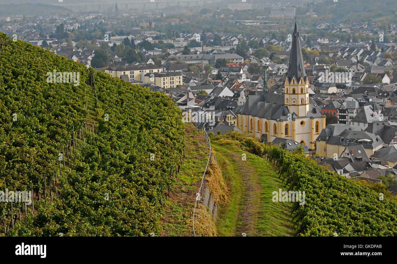 Stadt Stadt Weingarten Stockfoto