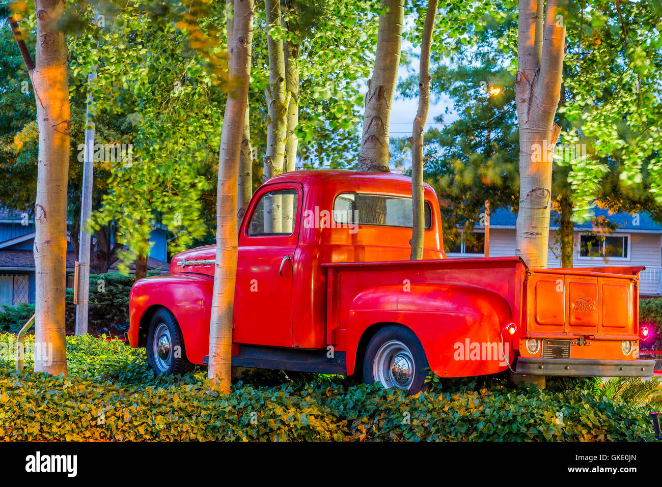 Kunstinstallation namens Ford Grove, 52 Ford Pick up Truck, Griff nach aspen Bäume. Stockfoto