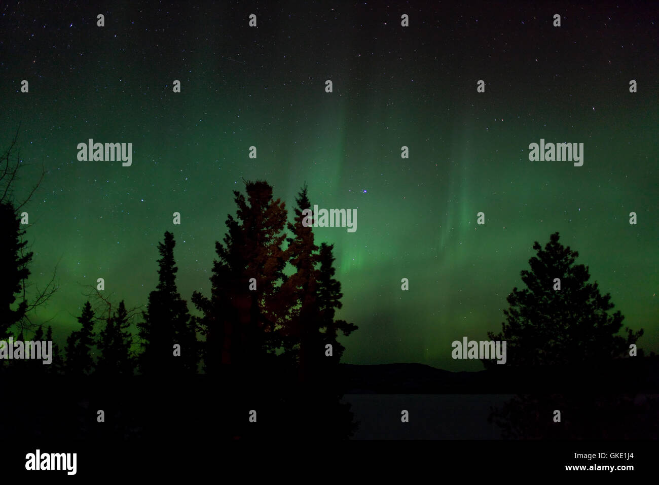 Aurora Borealis (Nordlicht) Display über den gefrorenen See Laber Stockfoto