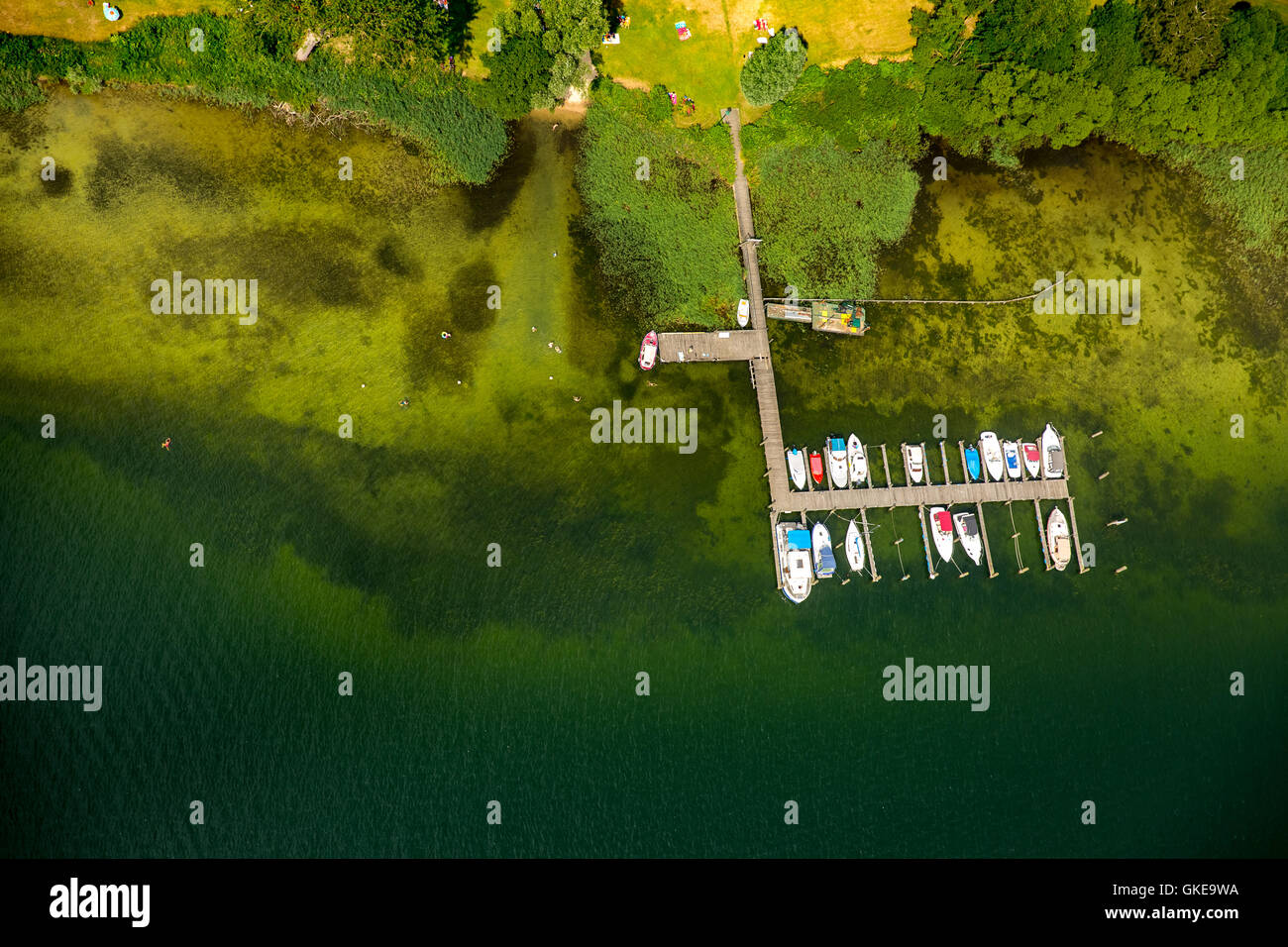 Luftaufnahme, Seelust Plau mit einem Strand, Bucht, Mecklenburgische Seenplatte, Plau, gelegentlich Schweiz Stockfoto