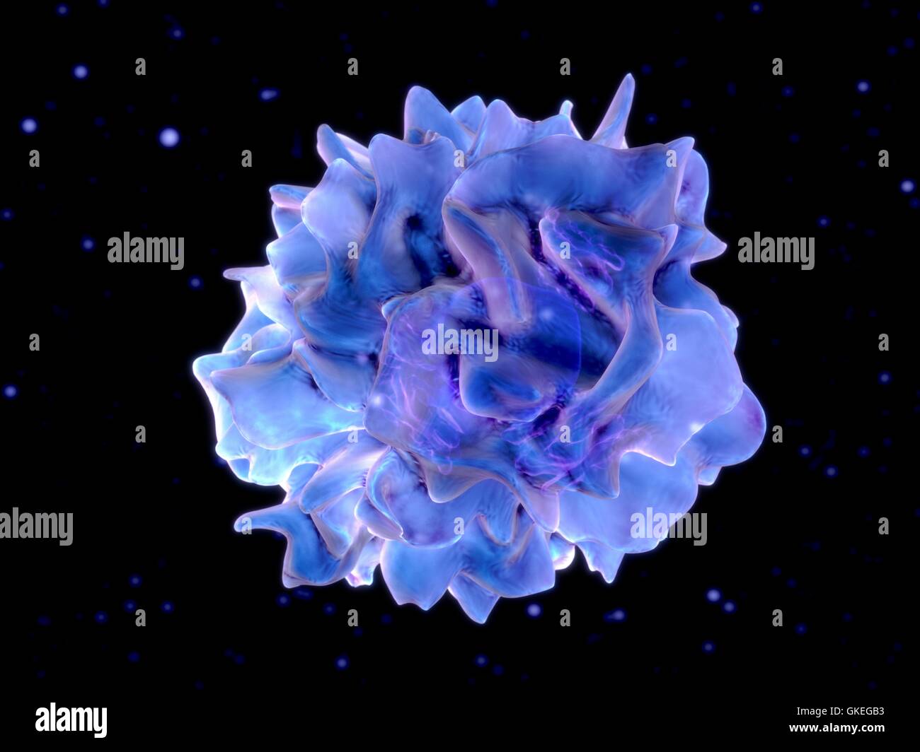 Computer-Darstellung der dendritischen Zellen. Dendritische Zellen sind Bestandteil des körpereigenen Immunsystems. Sie sind Antigen-präsentierenden Zellen (APCs), das heißt, sie stellen Krankheitserreger oder fremde Moleküle (Antigene) auf andere Zellen des Immunsystems beseitigt werden. Stockfoto