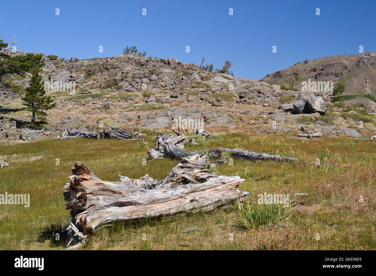 Sierra Nevada Granit Felsformationen am Mukelumne Wildnis im Sommer, auf alpinen Landschaft. Stockfoto