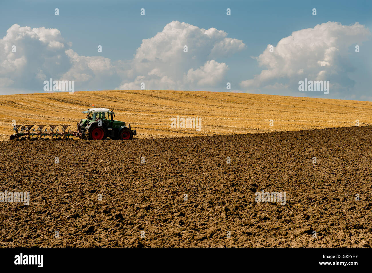 Landwirtschaft-Landwirtschaft-Feld Stockfoto