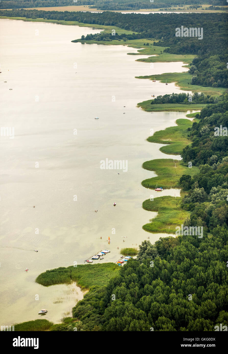 Luftaufnahme, See Müritz, Rechlin, Mecklenburgische Seenplatte Landschaft, Müritz-Nationalpark, Mecklenburgische Schweiz, Stockfoto