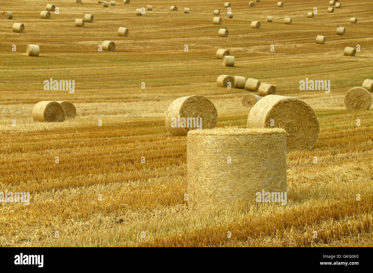 Korn-Stroh Thüringen-Kugel Stockfoto