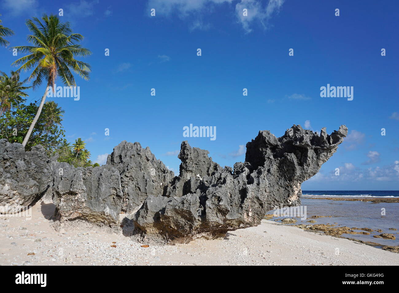 Erodiert Felsformation am tropischen Strand, Atoll Tikehau, Tuamotu-Archipel, Französisch-Polynesien, Pazifik Stockfoto