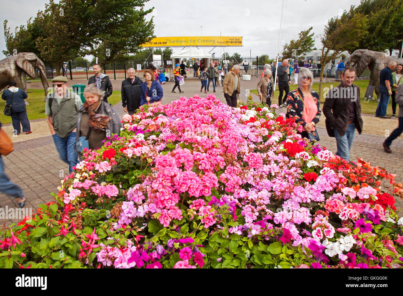 Southport Flower Show, Merseyside, England. 21. August 2016: wie das gute Wetter über der Southport Flower Show zurück, die Massen strömen in denn der heutigen großen Ausverkauf.  Die fantastischen vier Tag Gartenbau Event geht zu Ende am späten Nachmittag mit Schnäppchen in Hülle und Fülle zu gewinnen.  Vom Handwerk waren und Kleidung zu den exotischsten Pflanzen ist es wirklich für jeden etwas dabei.  Kinder werden von "Sonny & Regenbogen" unterhalten, wie Eltern prosecco in der Sonne genießen können.  Bildnachweis: MediaWorld Bilder/Alamy Live-Nachrichten Stockfoto