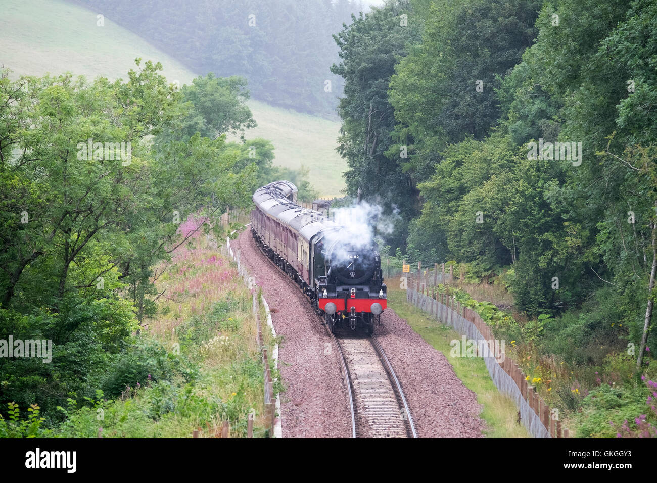 Galashiels, grenzt an Bahn, Stechginster Brücke, UK. 21. August 2016. Dampfzug auf Grenzen Eisenbahn. Eine spezielle laufen auf der Bahn Grenzen an Sonntagen im August und September, hier auf seiner Rückreise von Tweedbank nach Edinburgh Waverley abgebildet hier abgebildet die Klasse 67 Diesel Electric locomotive 67009 im englischen Welsh und Scottish Railway Livree der Kutschen und Dampfmaschine 46100 zieht Dampf zurück nach Edinburgh Waverley "The Royal Scot". (Foto: Rob Gray) Bildnachweis: Rob Gray/Alamy Live-Nachrichten Stockfoto