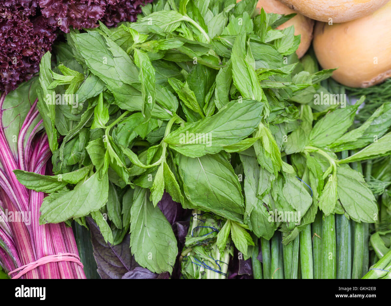 Essen-Hintergrund - Trauben frische würzige Kräuter schneiden Stockfoto