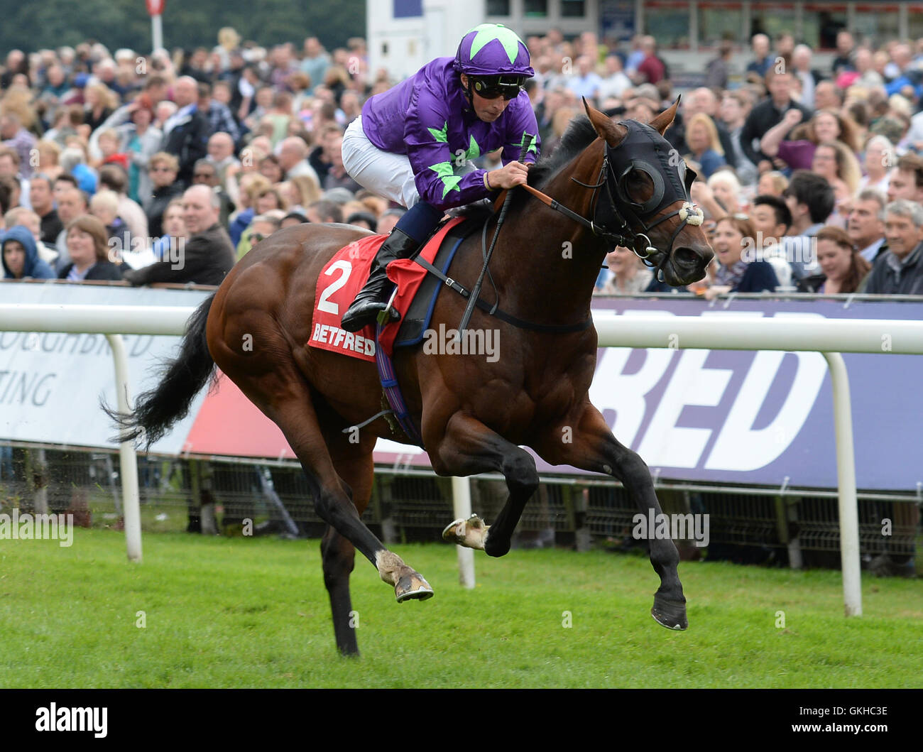 Feuerwand geritten von William Buick gewinnt die Betfred Melrose Einsätze tagsüber vier das 2016 Yorkshire Ebor Festival im York Racecourse. Stockfoto