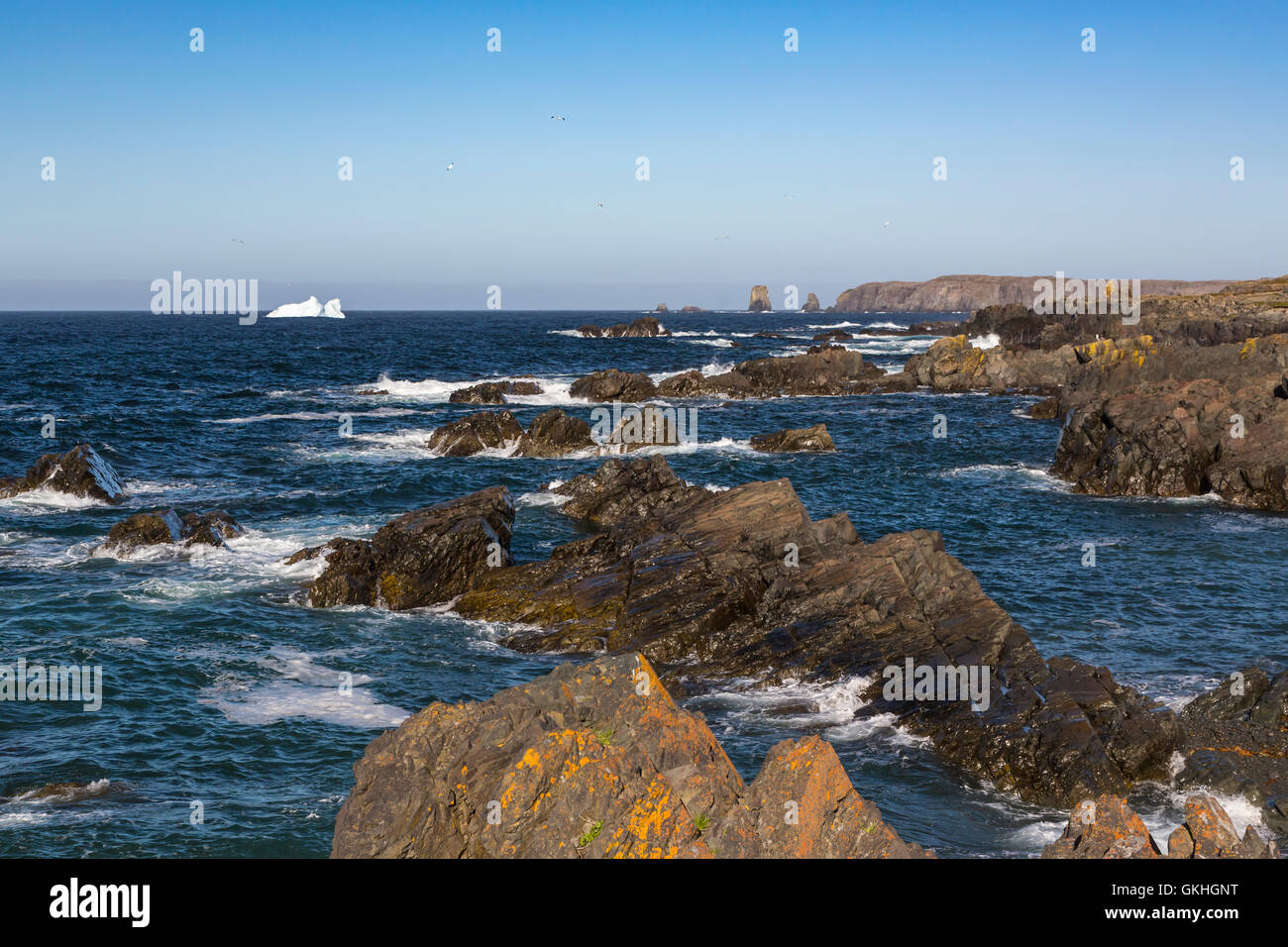 Die zerklüftete Küste von Cape Bonavista in Neufundland und Labrador, Kanada. Stockfoto