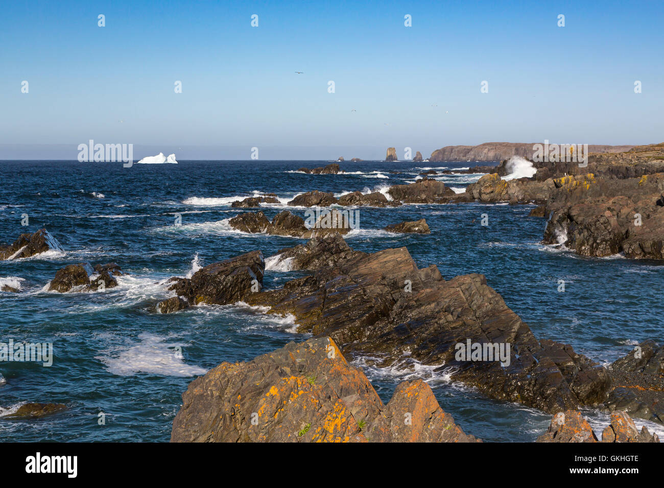 Die zerklüftete Küste von Cape Bonavista in Neufundland und Labrador, Kanada. Stockfoto