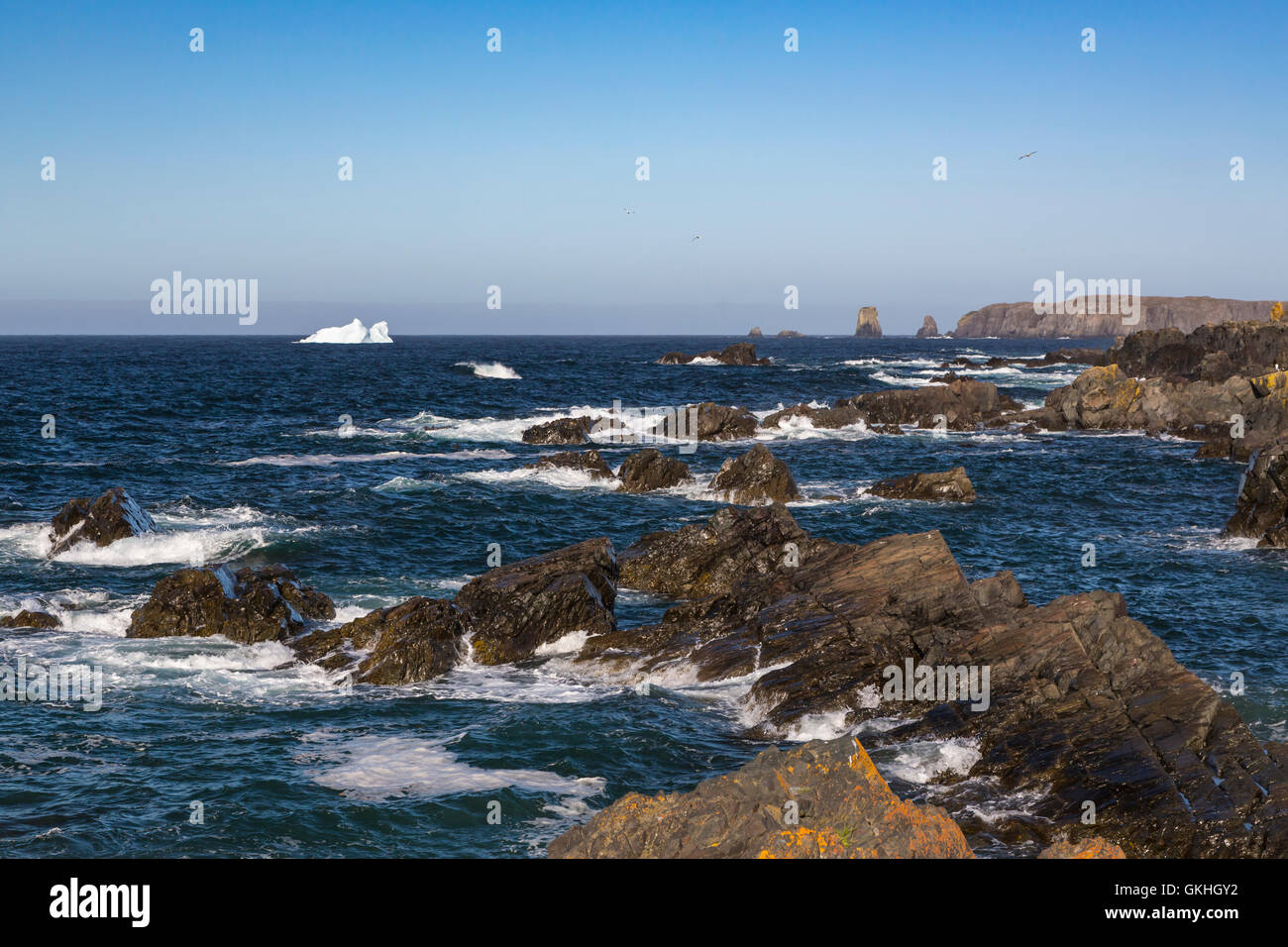 Die zerklüftete Küste von Cape Bonavista in Neufundland und Labrador, Kanada. Stockfoto