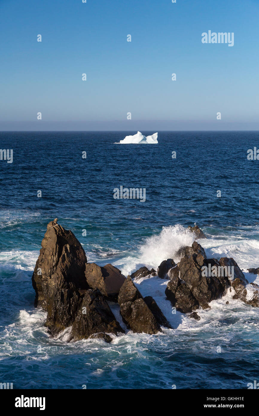 Die zerklüftete Küste von Cape Bonavista in Neufundland und Labrador, Kanada. Stockfoto