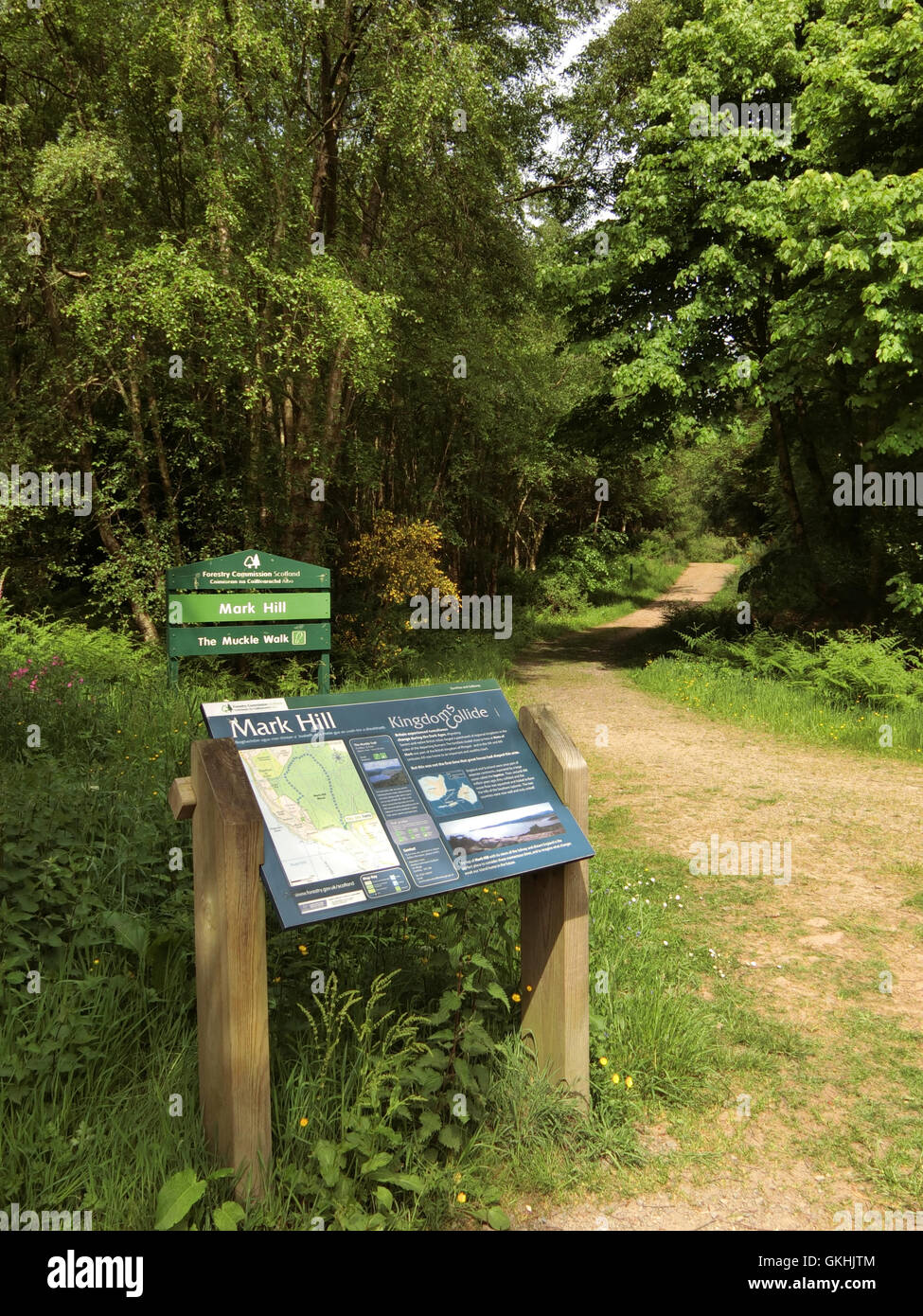 Mark Hill Forstwirtschaft Kommission Wald, zwischen Rockcliffe & Kippford, Dumfries and Galloway, Schottland, Großbritannien Stockfoto