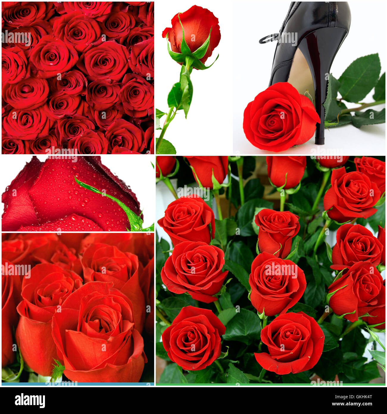 Collage aus 6 Urlaubsfotos mit roten Rosen Stockfoto