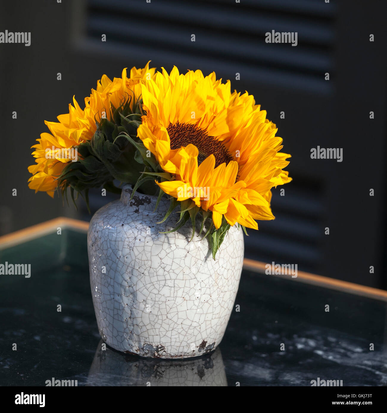 Ein Blumenstrauß aus Sonnenblumen auf ein weißes Auto Stockfotografie -  Alamy