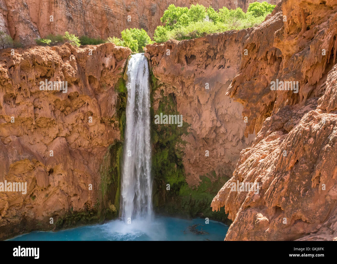 Mooney Fälle stürzt in einen tief blau-grün-Pool umgeben von roten Travertin Klippen auf der Havasupai Reservierung, Grand Canyon. Stockfoto