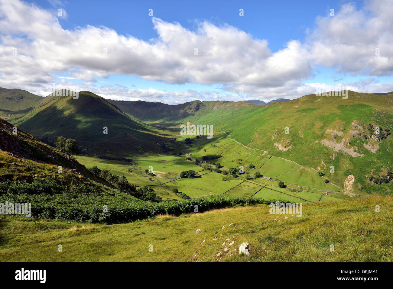 Martindale Common Stockfoto