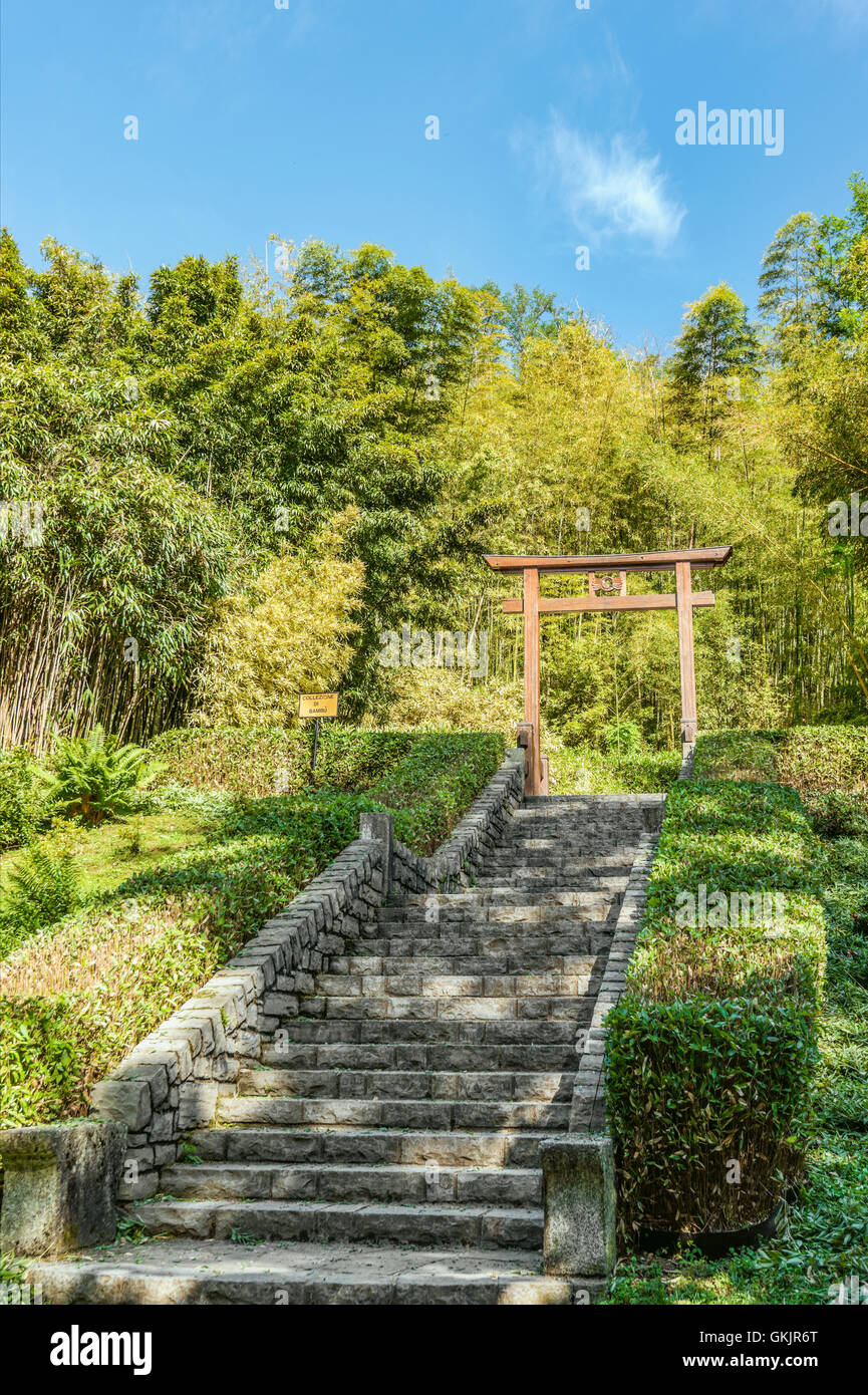 Torii-Tor am Bambusgarten im Botanischen Garten von Villa Carlotta, Tremezzina, Comer See, Lombardei, Italien Stockfoto